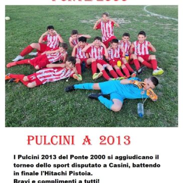 Pulcini A si aggiudicano il torneo dello sport